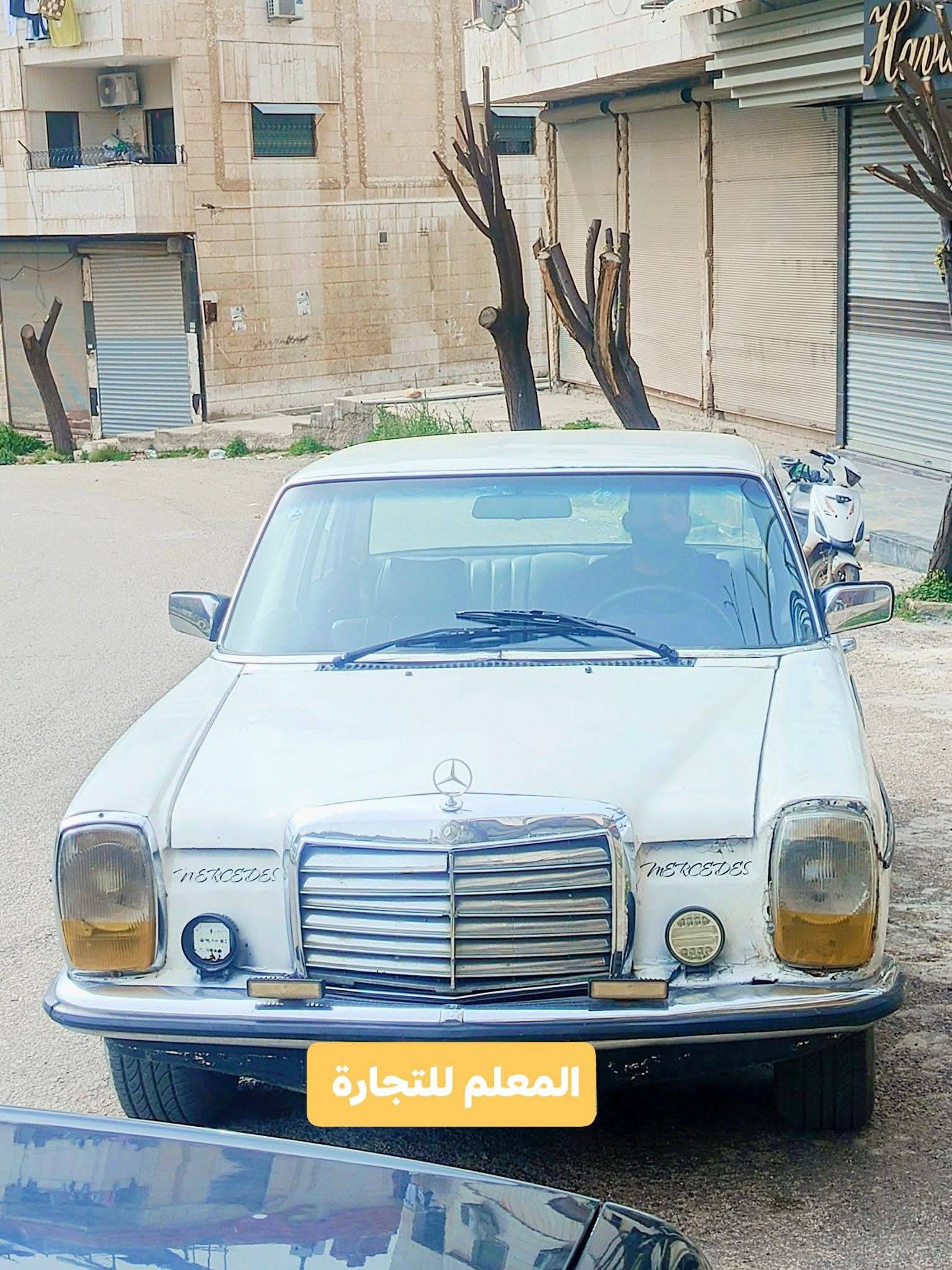 مارسيدس الفانوس