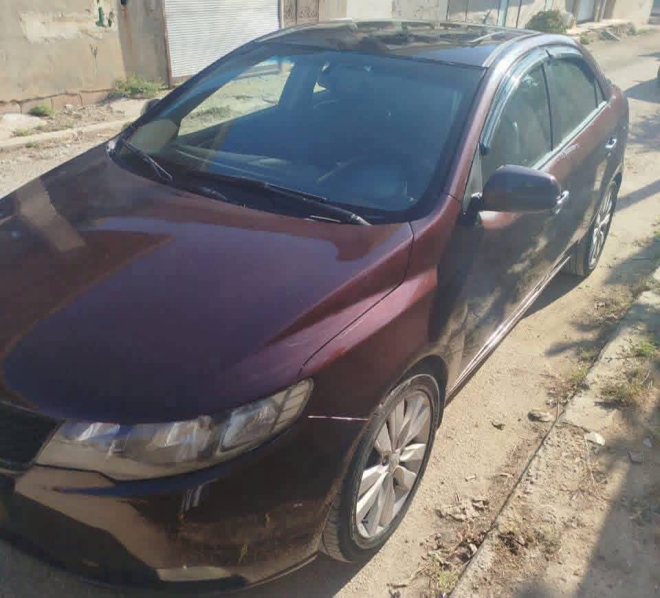 فورتي 2011